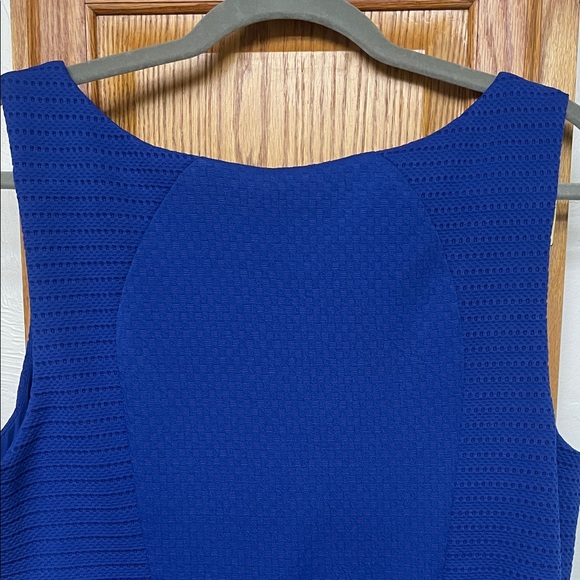Torrid Royal Blue Sleeveless Dress - Picture 5 of 12